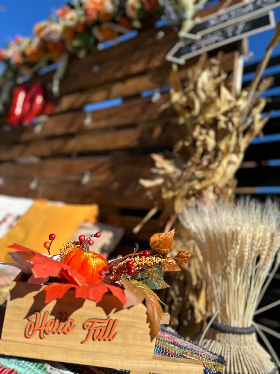 Decor Picnic Aniversar realizat de Boho Bloom Events